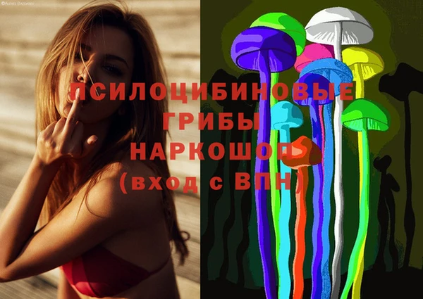 apvp Покровск