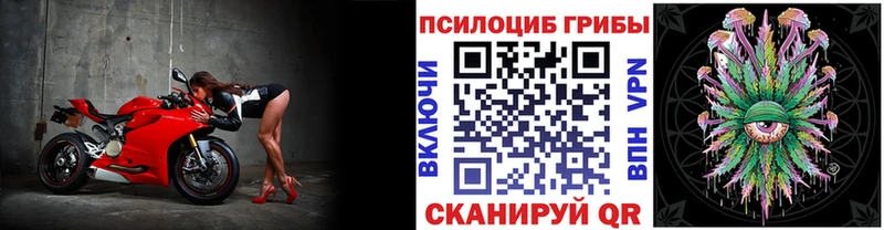 Галлюциногенные грибы Cubensis  купить закладку  Красный Холм 
